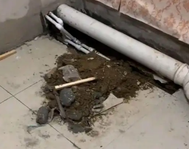 惠农卫生间漏水检测哪家好