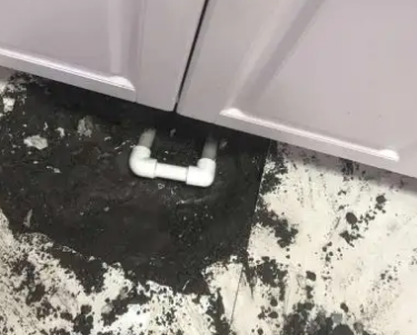 惠农查漏水哪家好